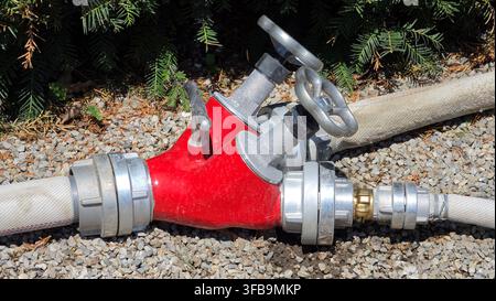 Una valvola a Y per tubo antincendio in metallo verniciato di rosso collegata a tubi in tela bianca si trova su un terreno di ghiaia grigia con un siepe di Taxus baccata verde sullo sfondo Foto Stock