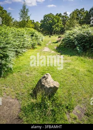 La pietra del Re, vicino al cerchio di pietre delle Nove Signore su Stanton Moor, nel Peak District del Derbyshire. Foto Stock