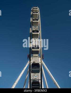 Vista simmetrica diretta della ruota panoramica Wheel of Brisbane che mostra cabine bianche allineate e supporti in acciaio contro un cielo blu profondo. Foto Stock