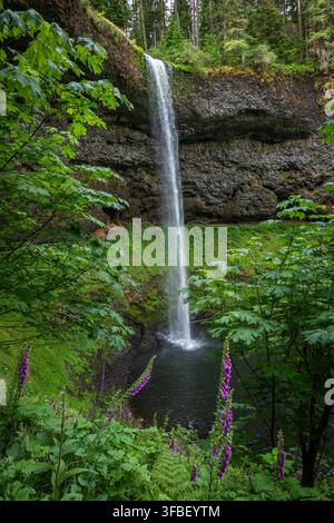 Una cascata si riversa lungo scogliere rocciose in mezzo alla vegetazione lussureggiante. Foto Stock