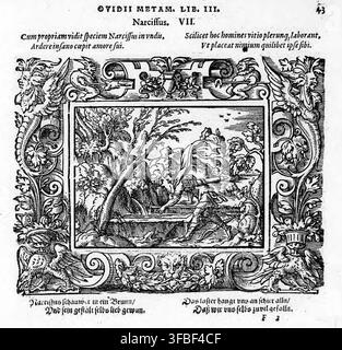 Un'illustrazione a xilografia di Narciso, tratta dalle Metamorfosi di Ovidio, libro III, del 1569, con testo latino e tedesco che descrive l'amore autoinflitto della figura mitologica. Foto Stock
