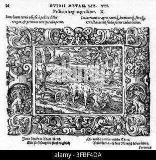 Un'illustrazione a xilografia del 1569 tratta dalle Metamorfosi di Ovidio, libro VII, che raffigura la peste ad Egina, inviata da Giunone, con la morte di uomini e animali, di un artista sconosciuto. Foto Stock