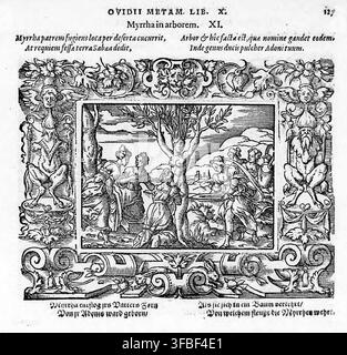 Un'illustrazione a xilografia del 1569 che raffigura la scena mitologica di Mirra, tratta dalle Metamorfosi di Ovidio, libro 10, in cui Mirra fugge da suo padre e si trasforma in un albero, dando alla luce Adone. Foto Stock