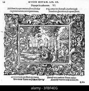 Un'illustrazione a xilografia del 1569 che raffigura la scena mitologica di Dryope, tratta dalle Metamorfosi di Ovidio, libro IX, in cui Dryope viene trasformata in un albero, accompagnata da testo in latino e tedesco. Foto Stock