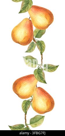 Pere con foglie verdi su ramo acquerello bordo senza cuciture. Sfondo di frutta disegnato a mano illustrazione isolata per il design di un'alimentazione sana. Biologico Foto Stock