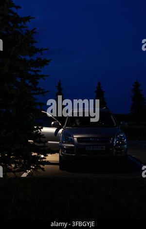 SUV argentato si ferma in un parcheggio buio all'ora blu con la portiera socchiusa e la luce dell'abitacolo che si riversa sul terreno. Gli arbusti aghiformi sono vicini mentre il cielo de Foto Stock