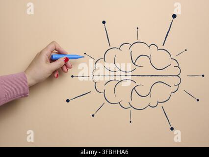 Cervello umano disegnato con marcatore, concetto di apprendimento di intelligenza artificiale aggiungendo informazioni Foto Stock