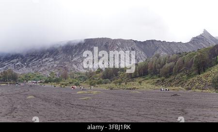 Le pianure di cenere nebbiose mozzafiato del Monte Bromo: un paradiso per gli amanti delle escursioni e della natura Foto Stock