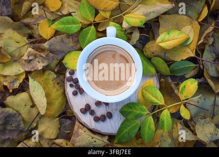 Tazza di caffè nero espresso tra le foglie gialle cadute, vista dall'alto Foto Stock