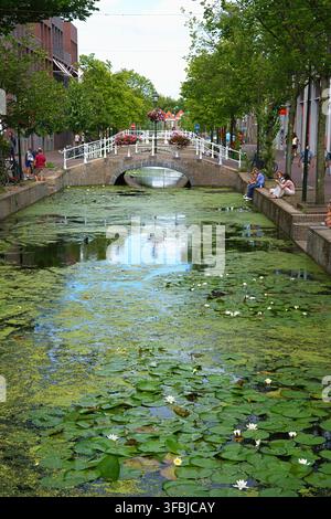 Delft, Paesi Bassi – 07.04.2026 Uno dei canali pittoreschi della città di Delft, nei Paesi Bassi, con architettura tradizionale olandese, fiori, un Foto Stock