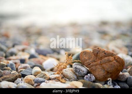 Colpo macro che cattura pietre e ciottoli lisci multicolori sparsi lungo la costa scenografica con uno sfondo sfocato. Foto Stock