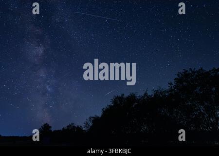 Molte scie di stelle cadenti si estendono su un cielo notturno stellato vicino al bordo della Via Lattea sopra dense silhouettes di alberi scuri Foto Stock