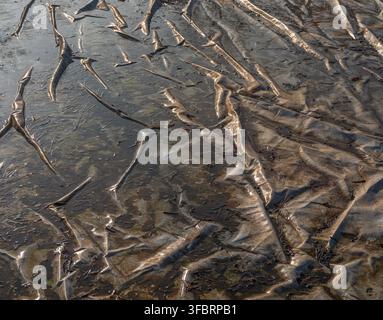 Acqua ghiacciata e foglie coprono una telo di plastica rugoso all'aperto. Foto Stock