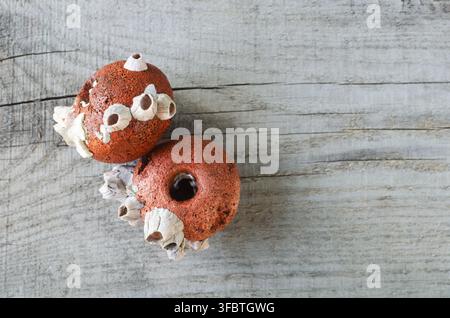 Due galleggianti o boe da pesca con balians appoggiati su un vecchio tavolo di legno. Concetto di pesca marina. Messa a fuoco selettiva. Stile rustico. Minimalismo. Spazio per la copia. Sopra Foto Stock