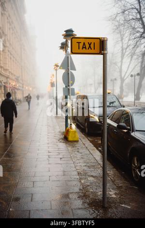 Helsinki, Finlandia - 1° marzo 2026: Insegna di taxi si trova accanto ad auto parcheggiate su una strada cittadina bagnata e nebbiosa. Foto Stock