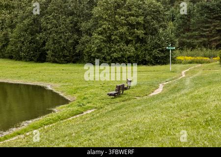Panchine vicino al lago e sentiero in un parco verde Foto Stock