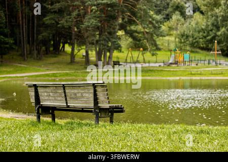 Panchina sul lago in un parco verde Foto Stock