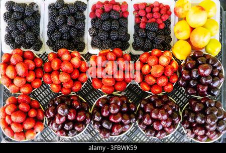Una varietà colorata di frutti freschi di stagione disposti in ciotole e vassoi, tra cui fragole mature, more, lamponi, ciliegie e pesche. I vivaci colori rosso, viola, giallo e arancione creano una presentazione attraente in stile mercato che mette in risalto la freschezza, la varietà e i prodotti naturali. Foto Stock
