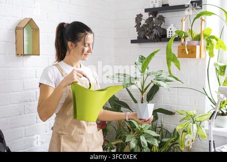 Giovane donna che sorride mentre annaffia grandi piante d'appartamento, monstera e dracaena, interno moderno e luminoso, routine di cura, stile di vita verde Foto Stock