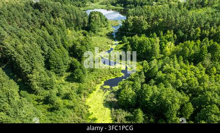 Ruscello sinuoso tra le paludi boschive verdi catturato dall'alto. Terra selvaggia in Polonia. Foto Stock