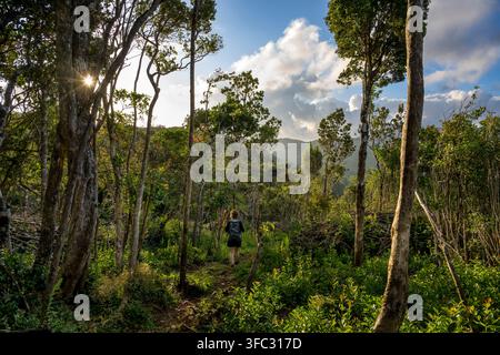 Mauritius, distretto di Savannah, Parco Nazionale delle Gole del Fiume Nero, escursionista sul sentiero del Picco del Fiume Nero Foto Stock