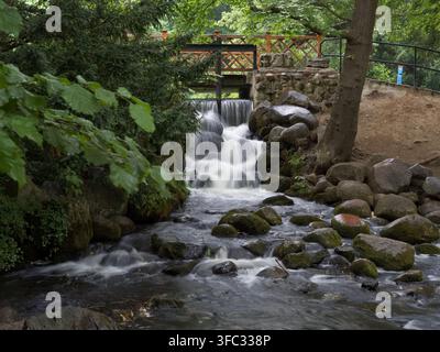 L'acqua scorre dolcemente su rocce e ciottoli sotto un ponte di legno in una foresta. Gli alberi forniscono ombra e vegetazione. La scena mostra una natura tranquilla Foto Stock