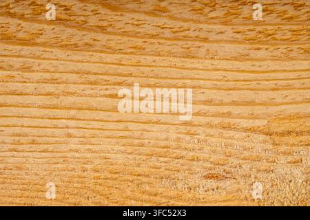 Macro dettagliata di una superficie di tela da falegnameria realizzata in legno naturale pressato o levigato. Foto Stock