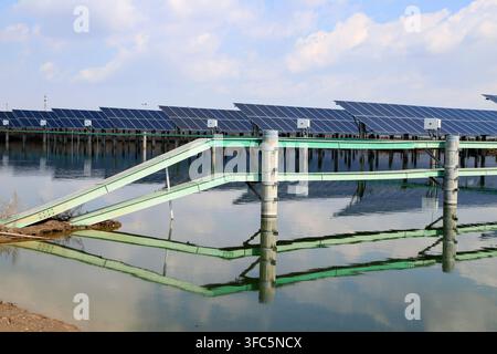 File di pannelli fotovoltaici solari sono installati ordinatamente sull'acqua calma, con strutture di montaggio verdi che si estendono nell'acqua. I loro riflessi sono c Foto Stock