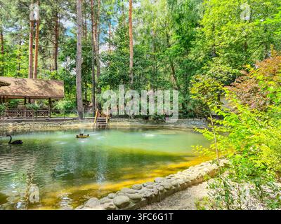 Una scena pittoresca di un hotel nel parco con uno stagno limpido con fontane, un gazebo in legno e una fitta vegetazione che crea un'atmosfera naturale e tranquilla Foto Stock