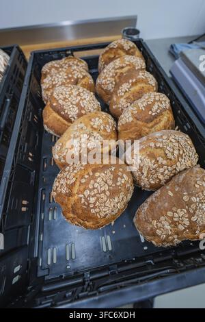 Diversi panini cosparsi di avena in un cestino, pane in fase di cottura, Haselstaller Hof, Gechingen, distretto di Calw, Germania Foto Stock