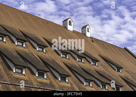 Tetto con due camini e molte finestre a mansarda - visto a Landshut, in Bavaria Foto Stock