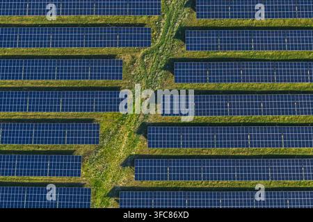 Vista aerea di file di pannelli solari installati su un campo erboso in una fattoria di energia rinnovabile nell'Uckermark, Brandeburgo, Germania. Foto Stock