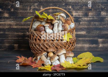 Un cestino di funghi porcini su fondo ligneo, primo piano. Ucraina Foto Stock