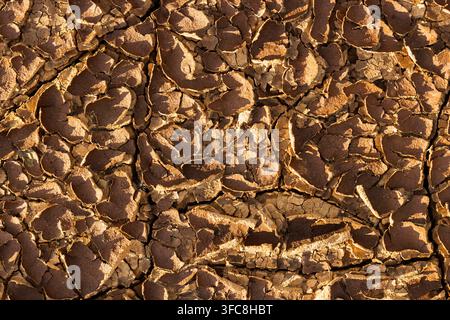 Texture di superficie di terra arida e screpolata con fessure profonde e frammenti di suolo arido illuminati da una luce dorata intensa in un primo piano dettagliato di d Foto Stock