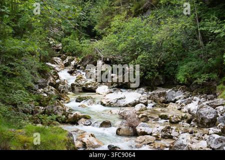 Ruscello alpino, la Ramsauer Ache, che scorre attraverso l'incantevole Foresta Magica (Zauberwald) accanto al lago Hintersee, Berchtesgaden, Germania Foto Stock