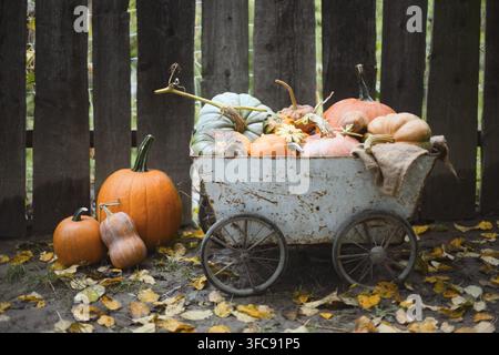 Carro rustico carico di zucche e cucurbitacee su foglie d'autunno cadute. Composizione di raccolta stagionale con zucca e concetto di Ringraziamento in fattoria Foto Stock