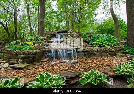 Una splendida scena naturale tranquilla con acque lattee che scorrono dolcemente su gradini rocciosi circondati da una lussureggiante vegetazione di hosta verde nel Missouri. Foto Stock