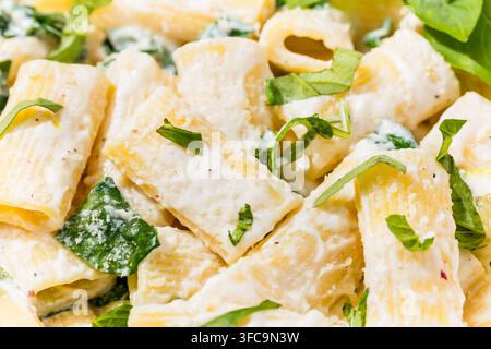 Pasta rigatoni fatta in casa con ricotta al limone saporita, basilico e spinaci Foto Stock
