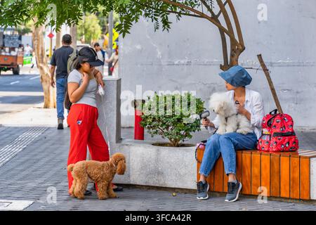 Lima, Perù - 26 marzo 2025: Una scena urbana di strada cattura un incontro casuale tra due proprietari di animali domestici su un marciapiede lastricato della città di Lima Foto Stock
