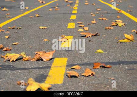Foglie secche e marroni d'autunno sono sparse su un sentiero di asfalto contrassegnato da linee di separazione dipinte di giallo brillante Foto Stock