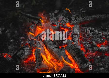 Legna ardente e brace rossa incandescente in un falò, campeggio, sopravvivenza all'aperto e sfondo bushcraft. Foto Stock