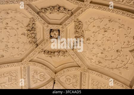 Una vista ravvicinata dei rilievi decorati del soffitto all'interno del castello di Cochem evidenzia motivi floreali in gesso e l'artigianato decorativo storico. Foto Stock