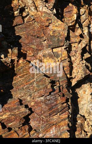 Primo piano di una parete rocciosa colorata come modello geologico. Foto Stock