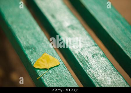 Una vista ravvicinata di una singola foglia d'autunno gialla brillante caduta su una panchina di legno verde consumata all'aperto, con una profondità di campo ridotta Foto Stock