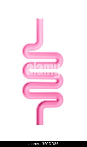 Tratto intestinale umano e sistema digestivo, rendering 3D. Illustrazione 3D. Foto Stock