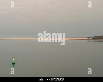 Mare calmo e nebbia mattutina, Anglesea, boschi e spiaggia, Galles del Nord, Regno Unito, GB. Foto Stock
