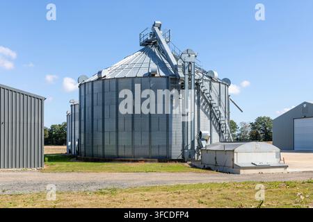Grandi silos per cereali in acciaio galvanizzato, serbatoi di stoccaggio metallici, DAN-CORN Sukup, Mettingham, Suffolk, Inghilterra, Regno Unito Foto Stock
