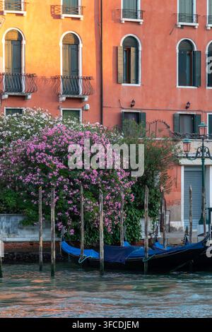Edifici storici colorati del canale con finestre ad arco, campanile, alberi in fiore e gondole su un tranquillo lungofiume di Venezia in Italia. Foto Stock