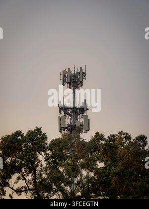 Moderna torre di telecomunicazione cellulare con antenne e apparecchiature di rete che si erge sopra le cime degli alberi verdi contro un cielo sereno Foto Stock