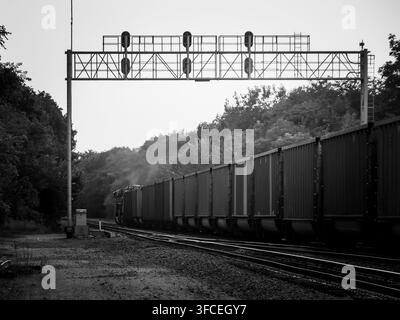 Foto in bianco e nero di un treno merci che passa sotto un ponte segnaletico in acciaio lungo i binari tra gli alberi Foto Stock